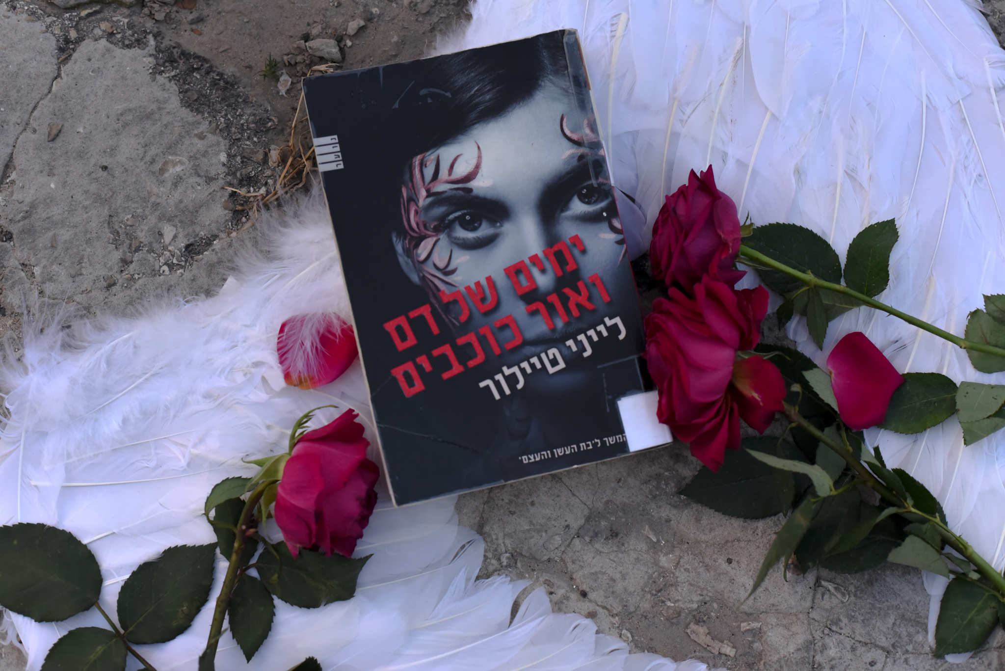 ימים של דם ואור כוכבים/ לייני טיילור (בת העשן והעצם #2)
