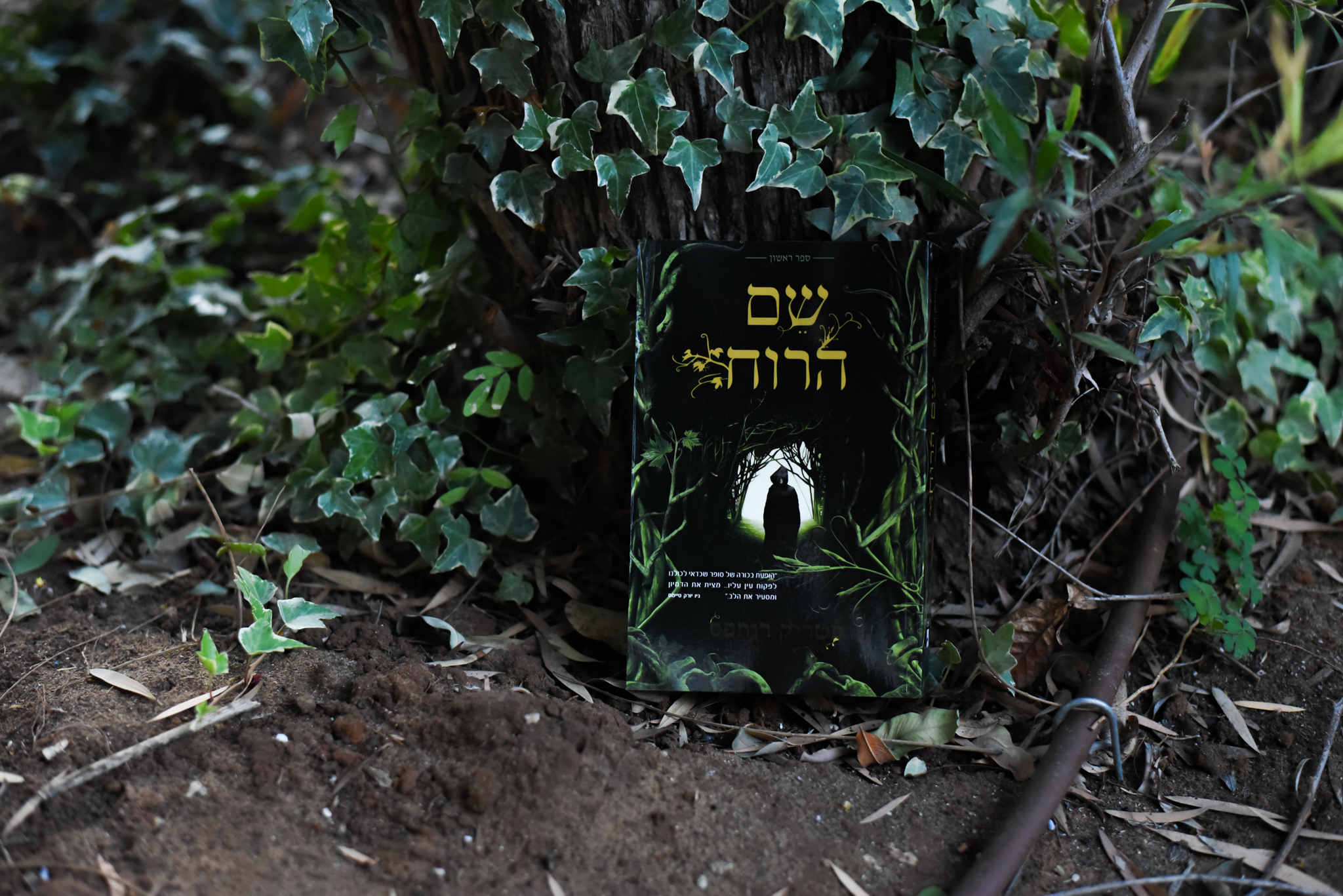 שם הרוח/ פטריק רותפס (רשומות קוטל המלך #1)