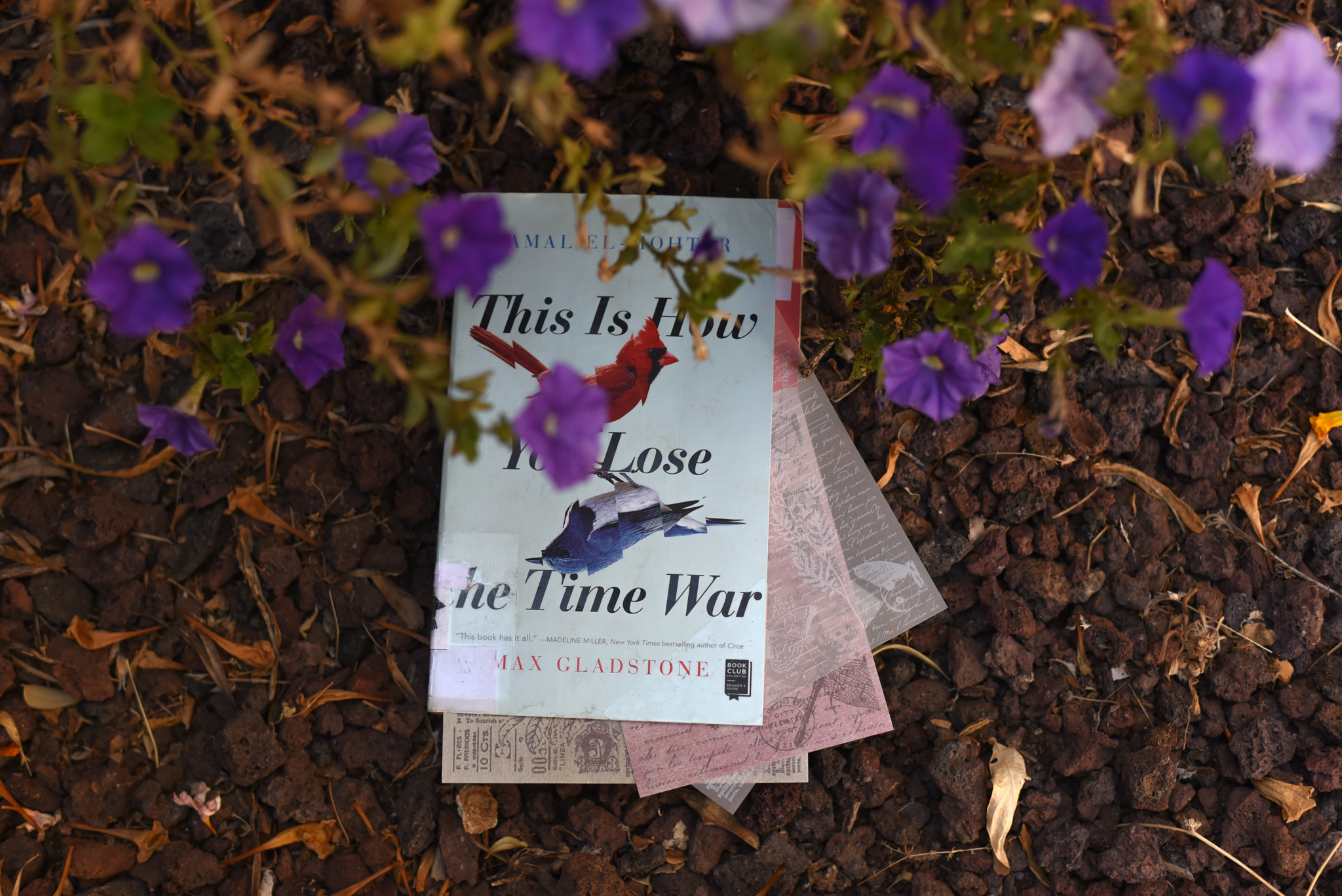 This Is How You Lose the Time War/ Amal El-Mohtar & Max Gladstone