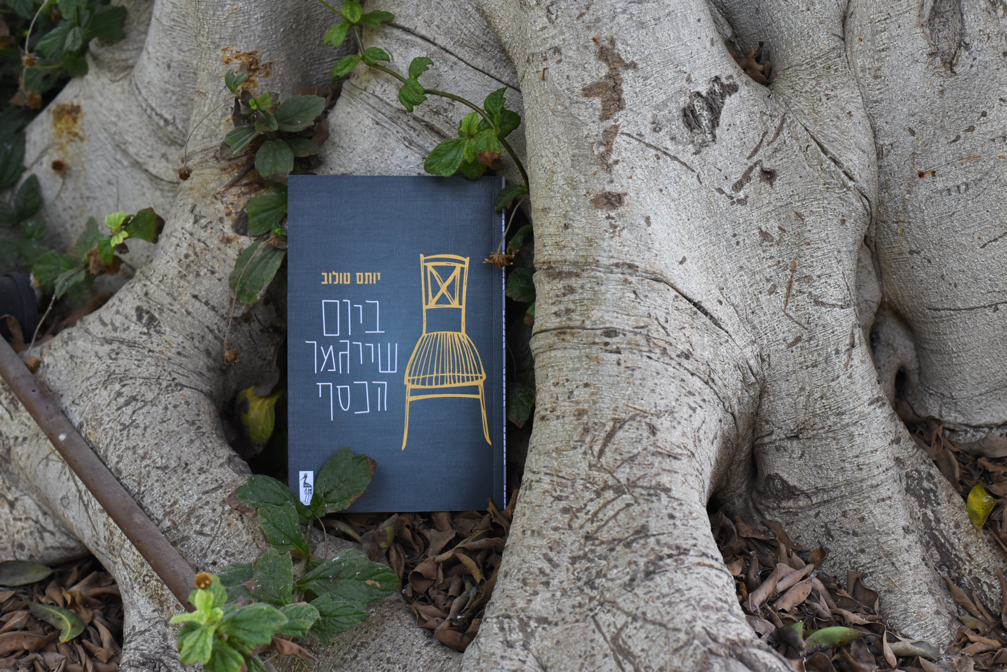 ביום שייגמר הכסף/ יותם טולוב