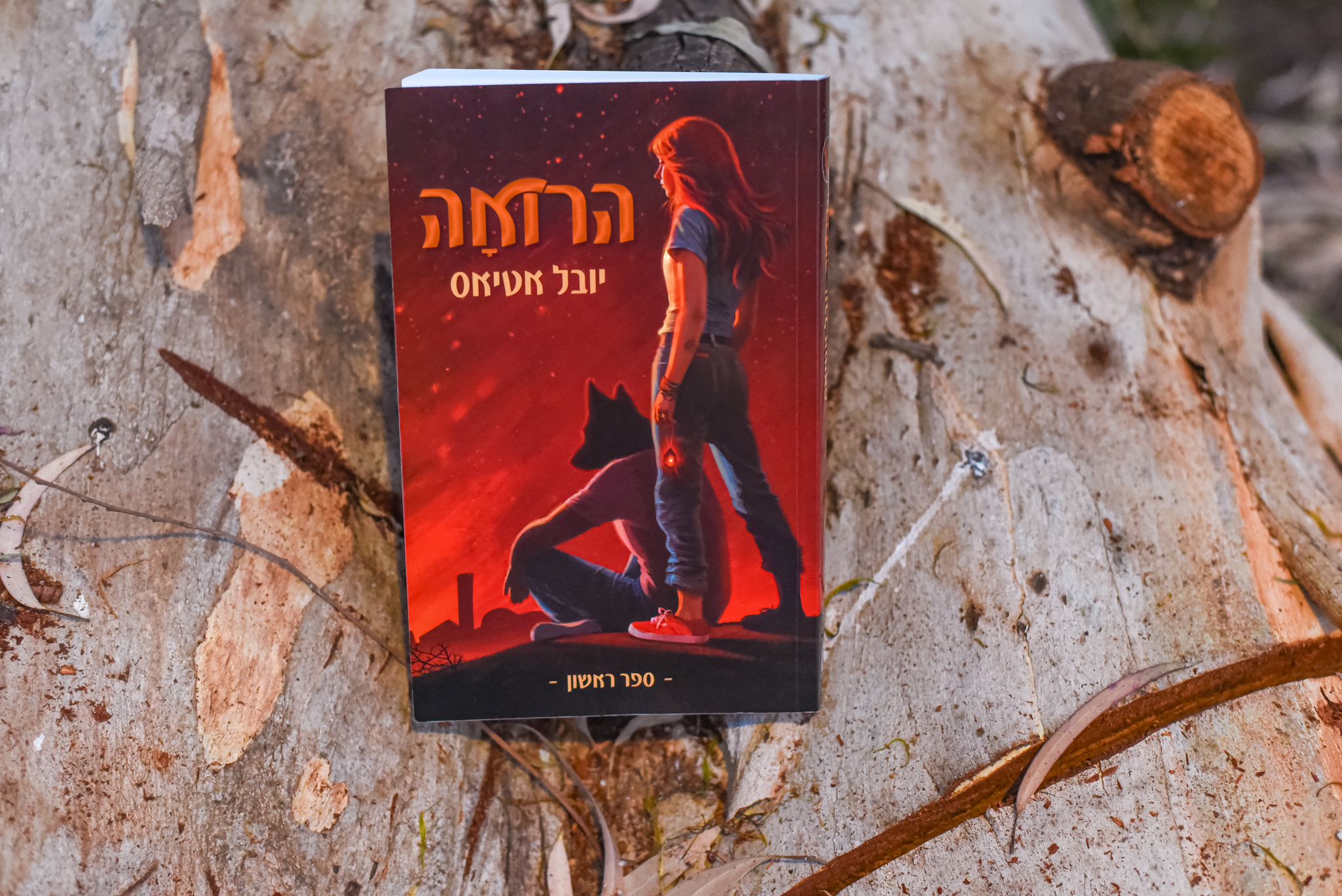 הרואה/ יובל אטיאס (הרואה #1)