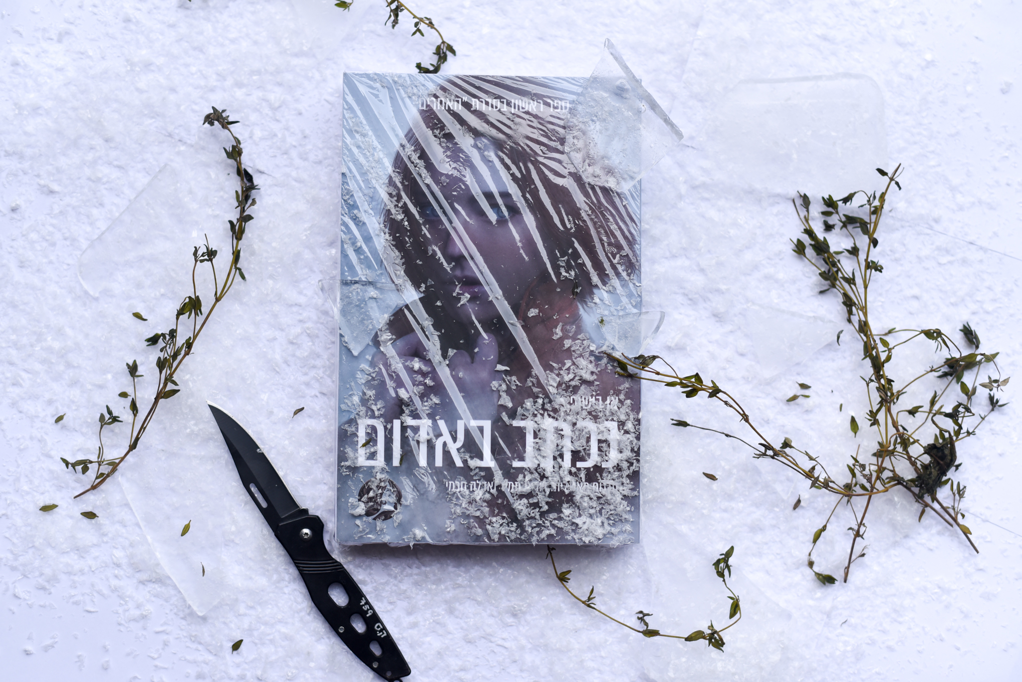 נכתב באדום/ אן בישופ (האחרים #1)