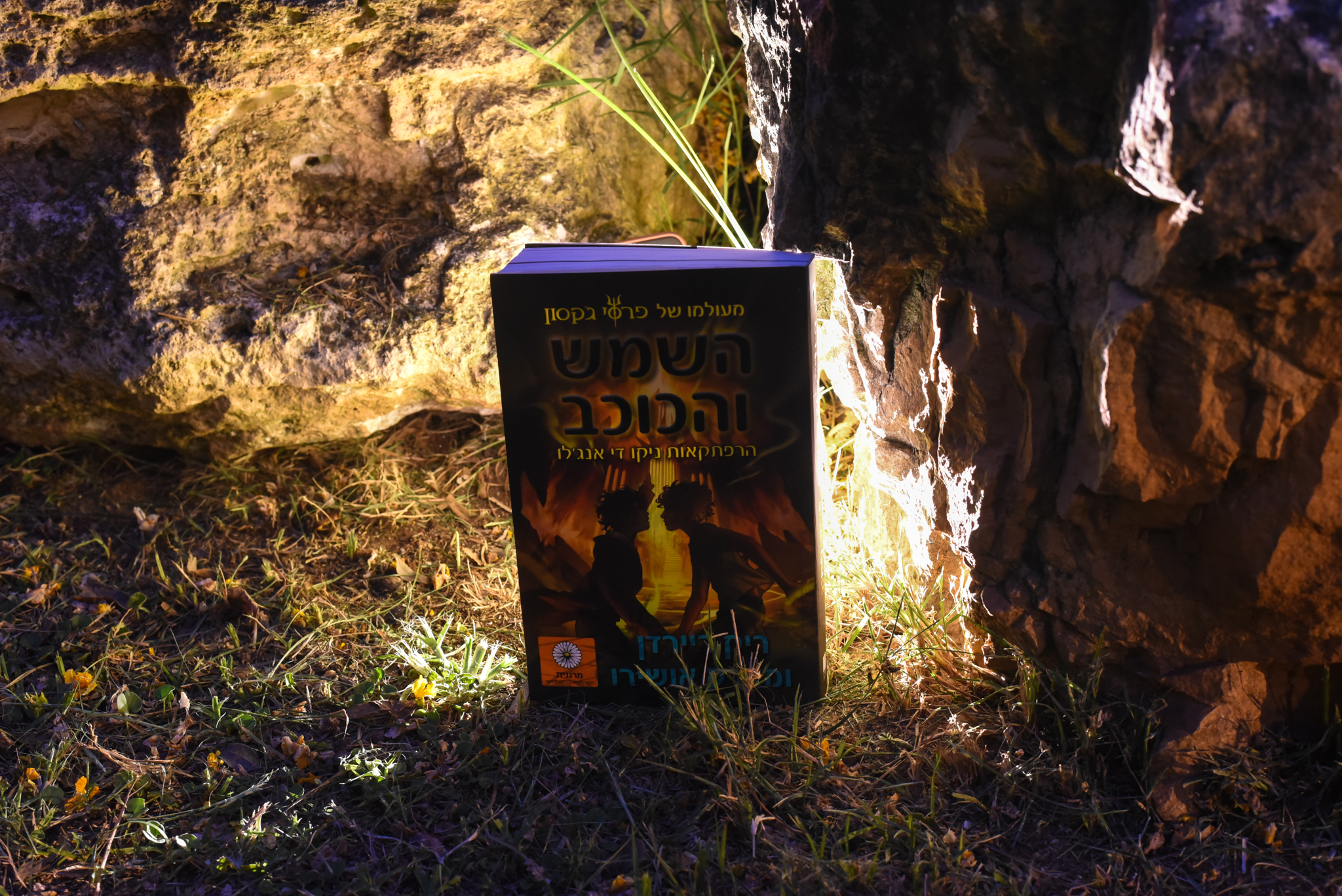 השמש והכוכב/ ריק ריירדן ומארק אושירו