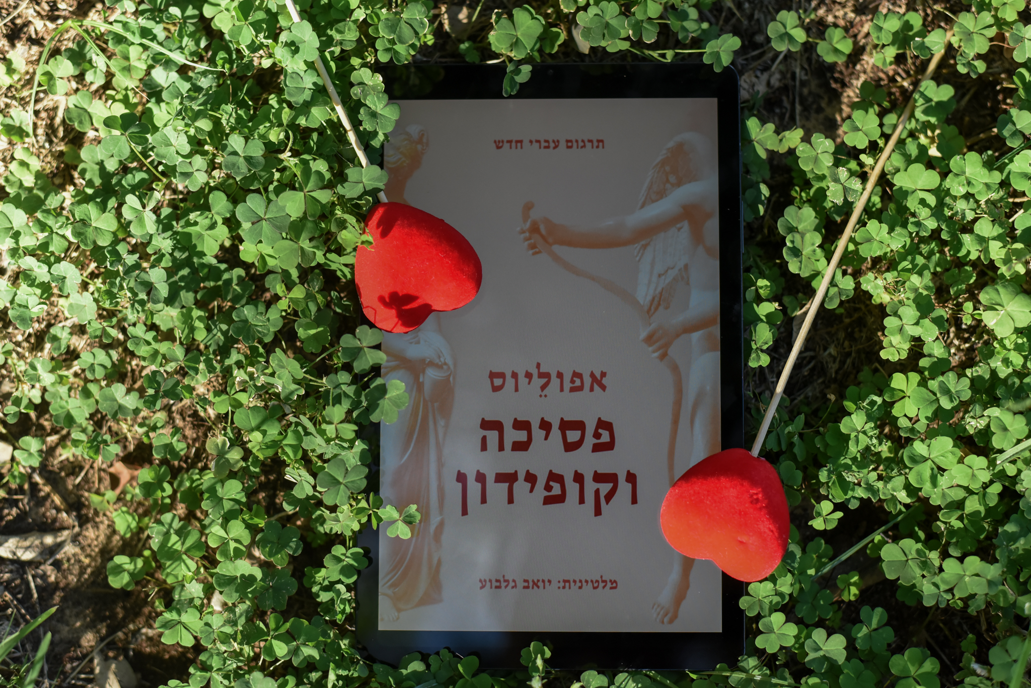 פסיכה וקופידון/ לוקיוס אפוליוס