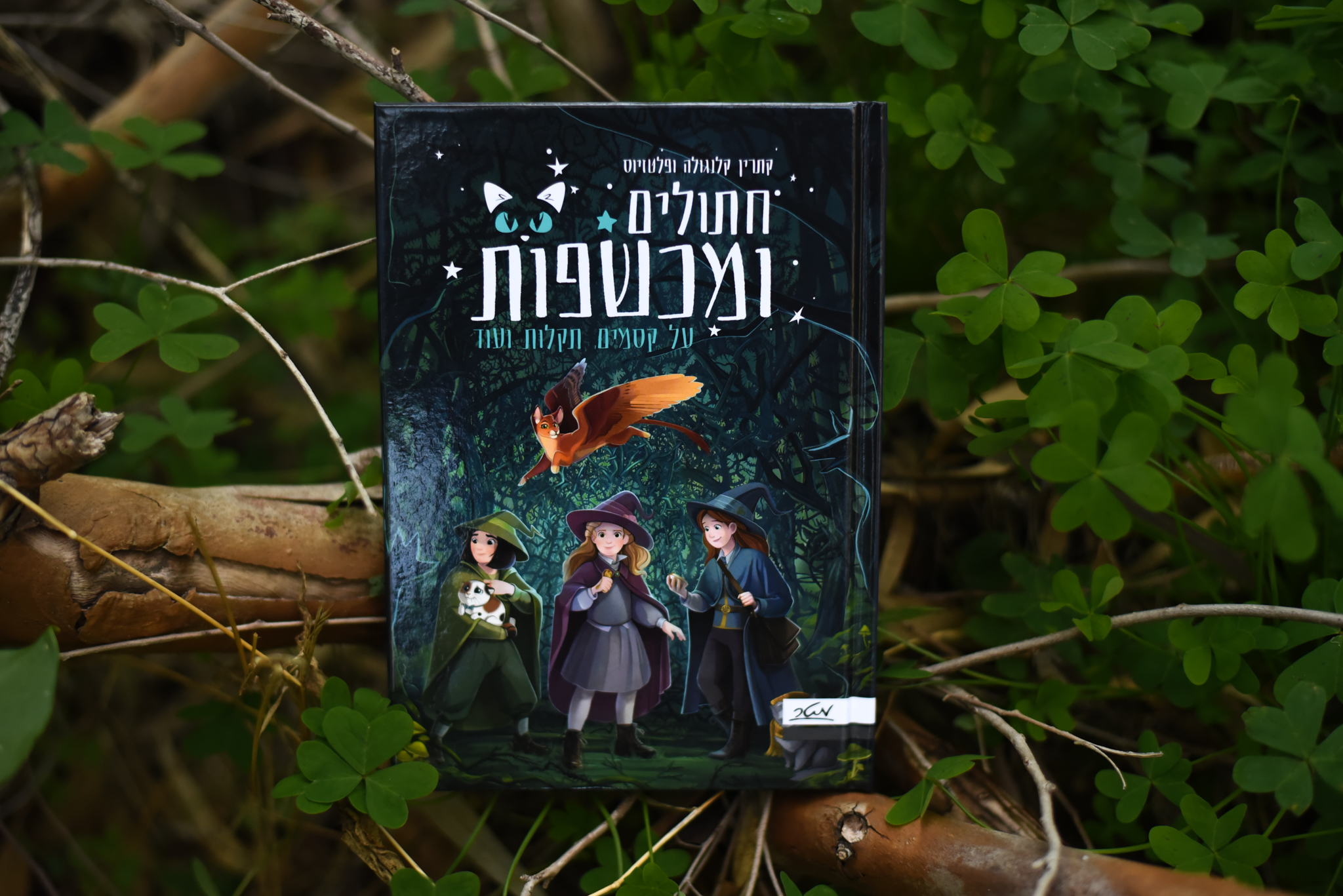 על קסמים, תקלות ועוד/ קתרין קלנגולה ופלטזיוס (חתולים ומכשפות #1)