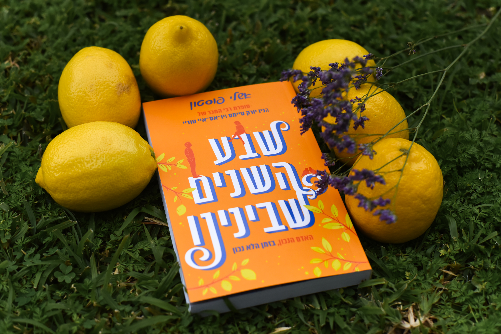 שבע השנים שבינינו/ אשלי פוסטון