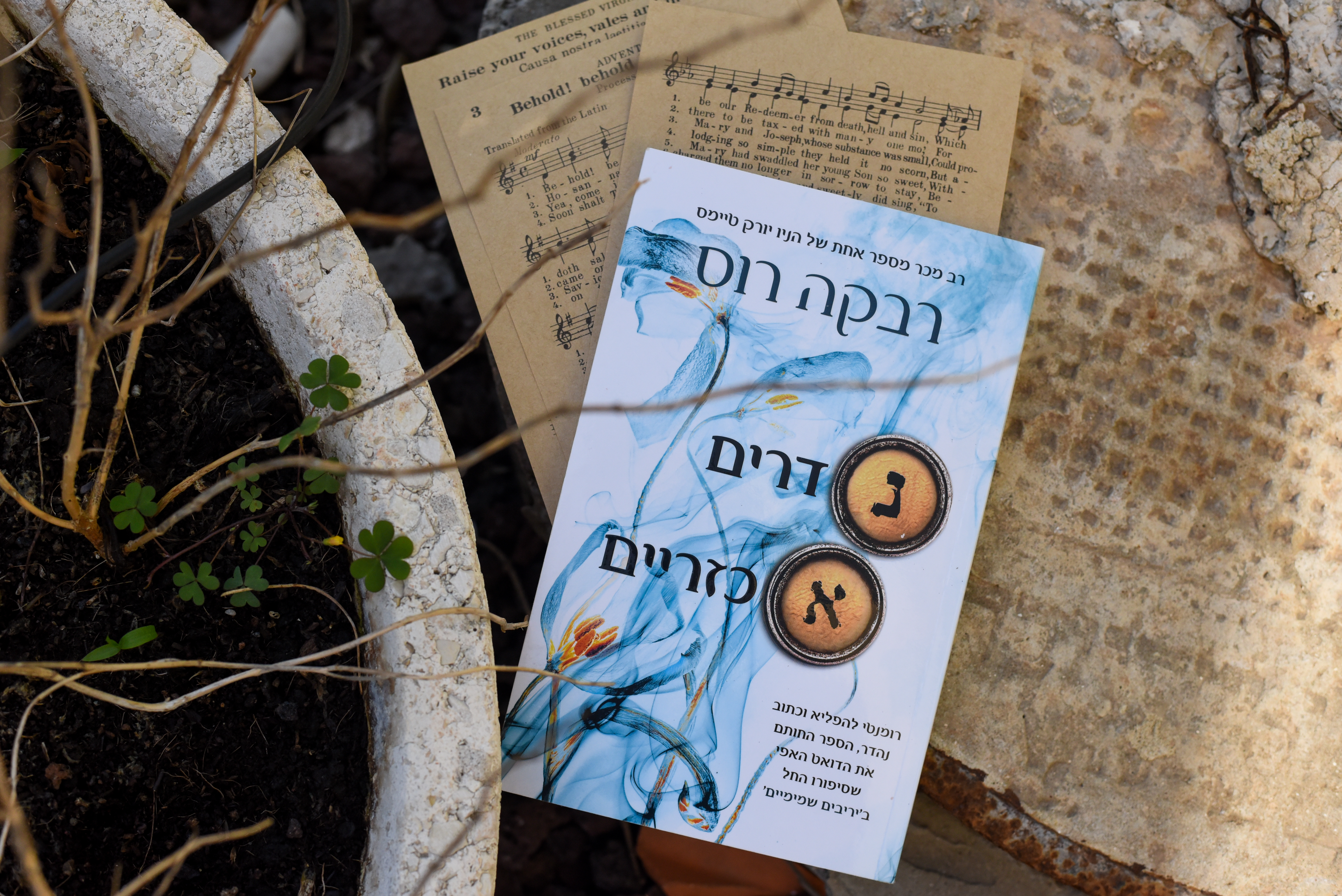 נדרים אכזריים/ רבקה רוס (מכתבי קסם #2)