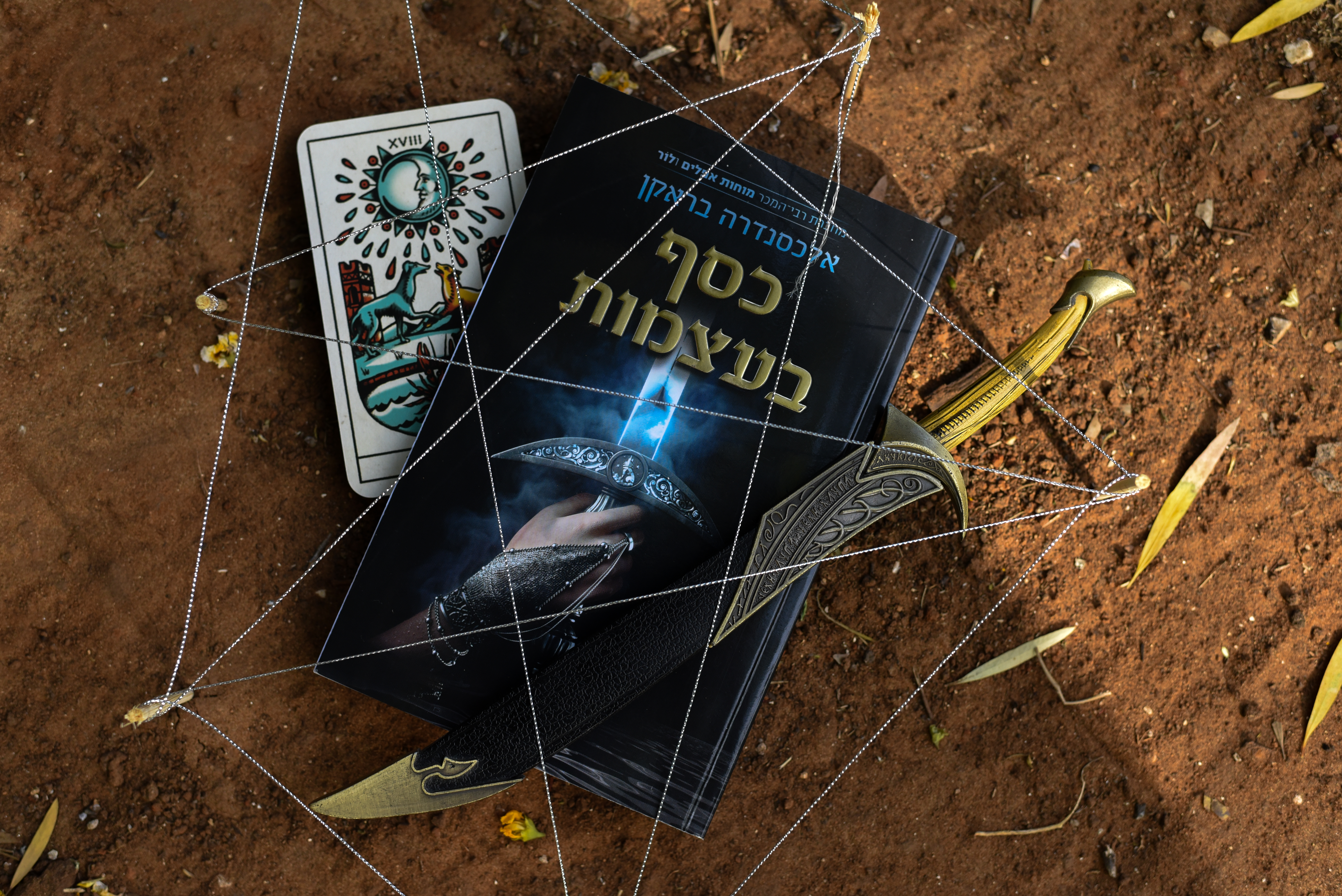 כסף בעצמות/ אלכסנדרה בראקן (כסף בעצמות #1)