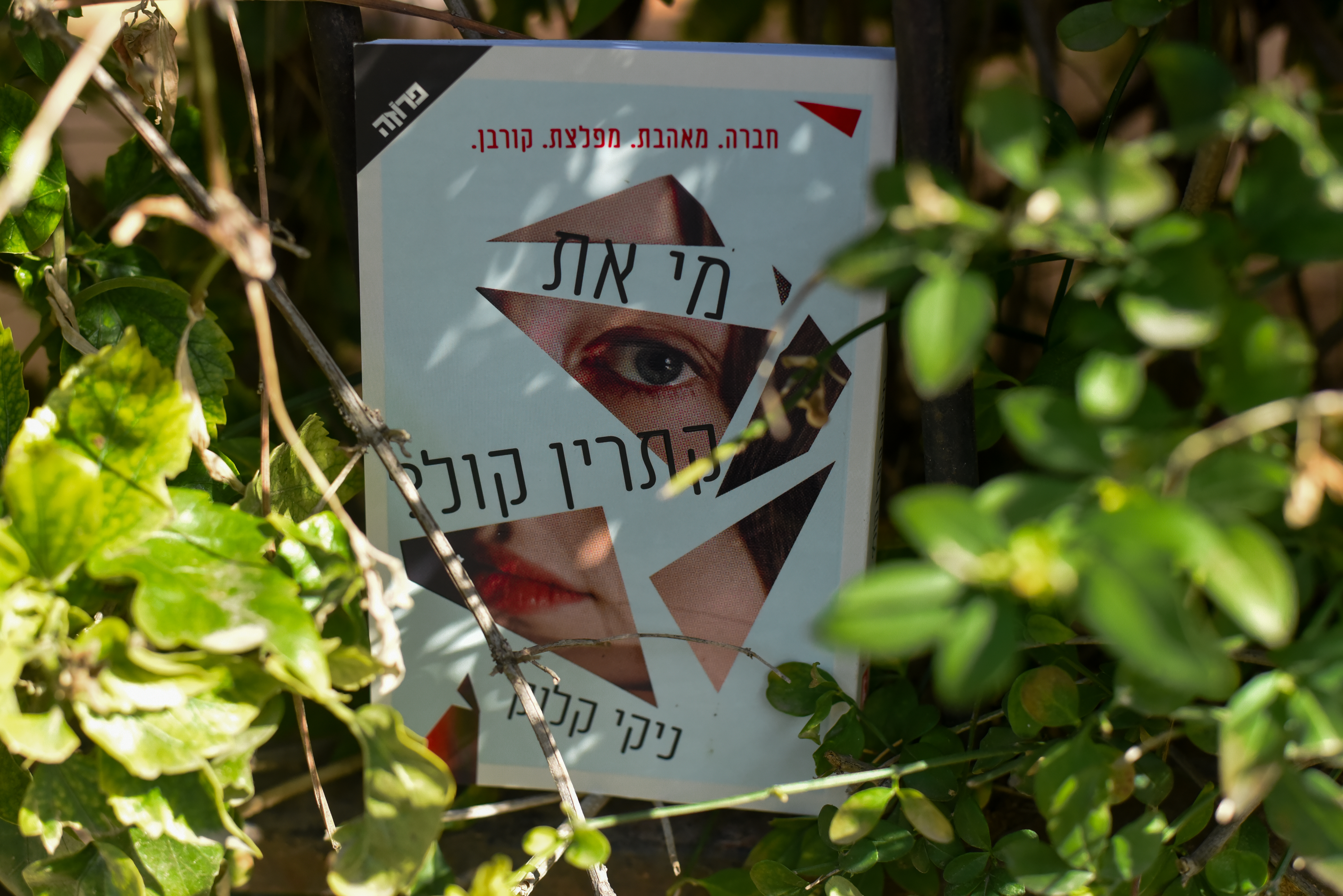 מי את, קתרין קול?/ ניקי קלוק
