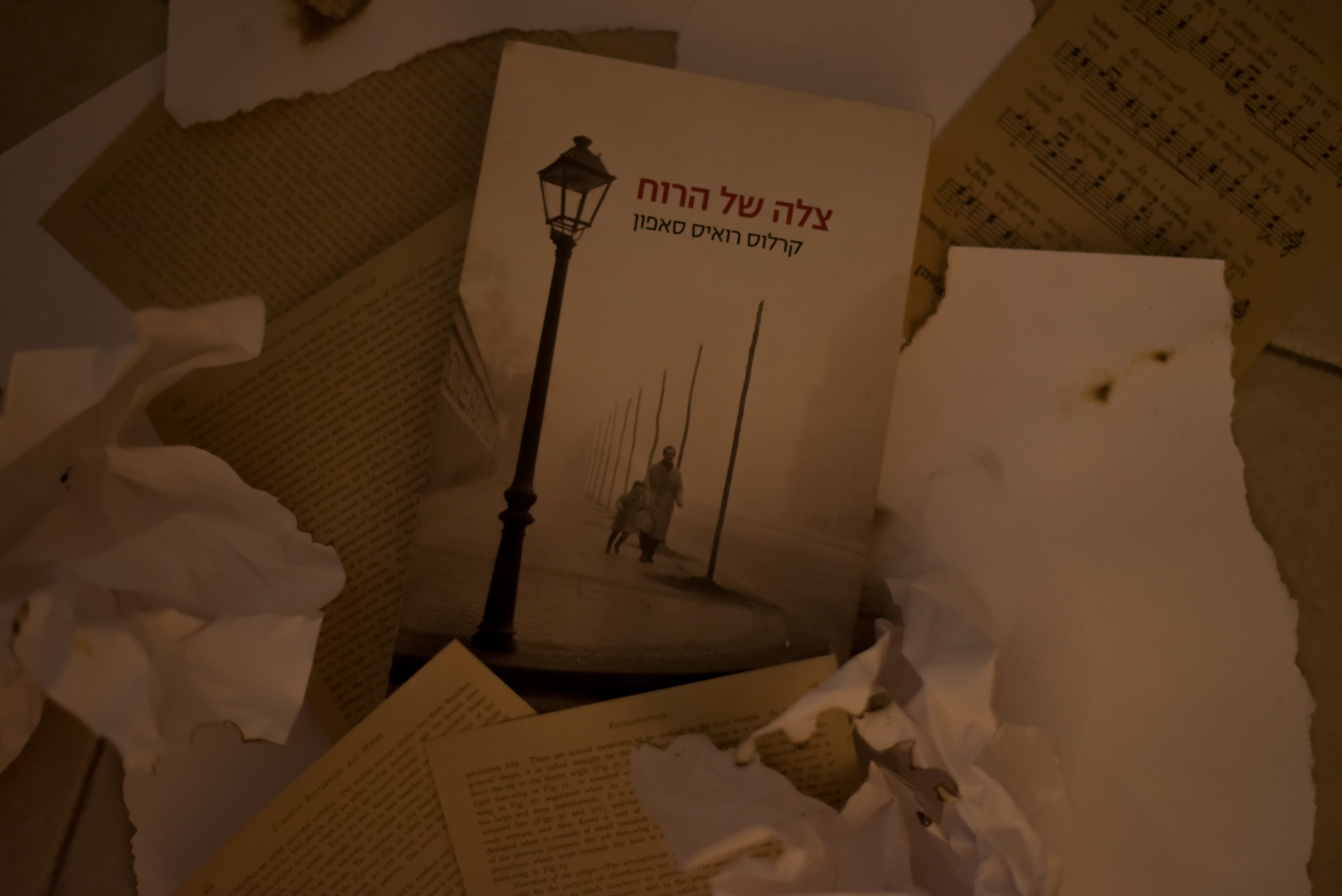 צלה של הרוח/ קרלוס רואיס סאפון (בית קברות לספרים נשכחים #1)