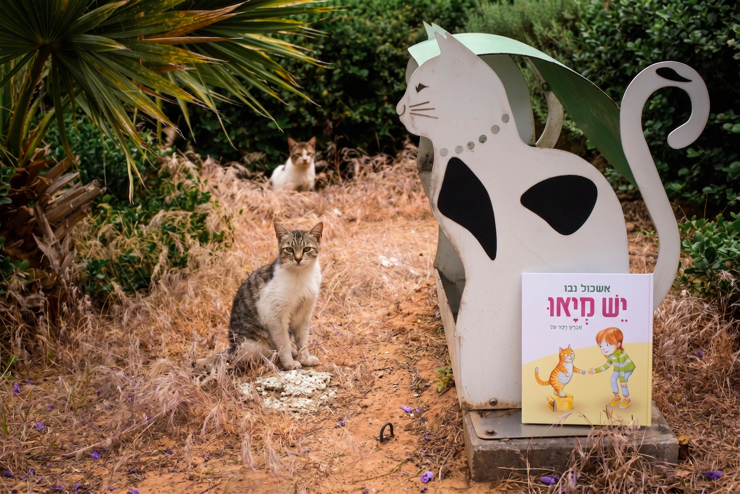 יש מיאו/ אשכול נבו, איורים: דיויד הול