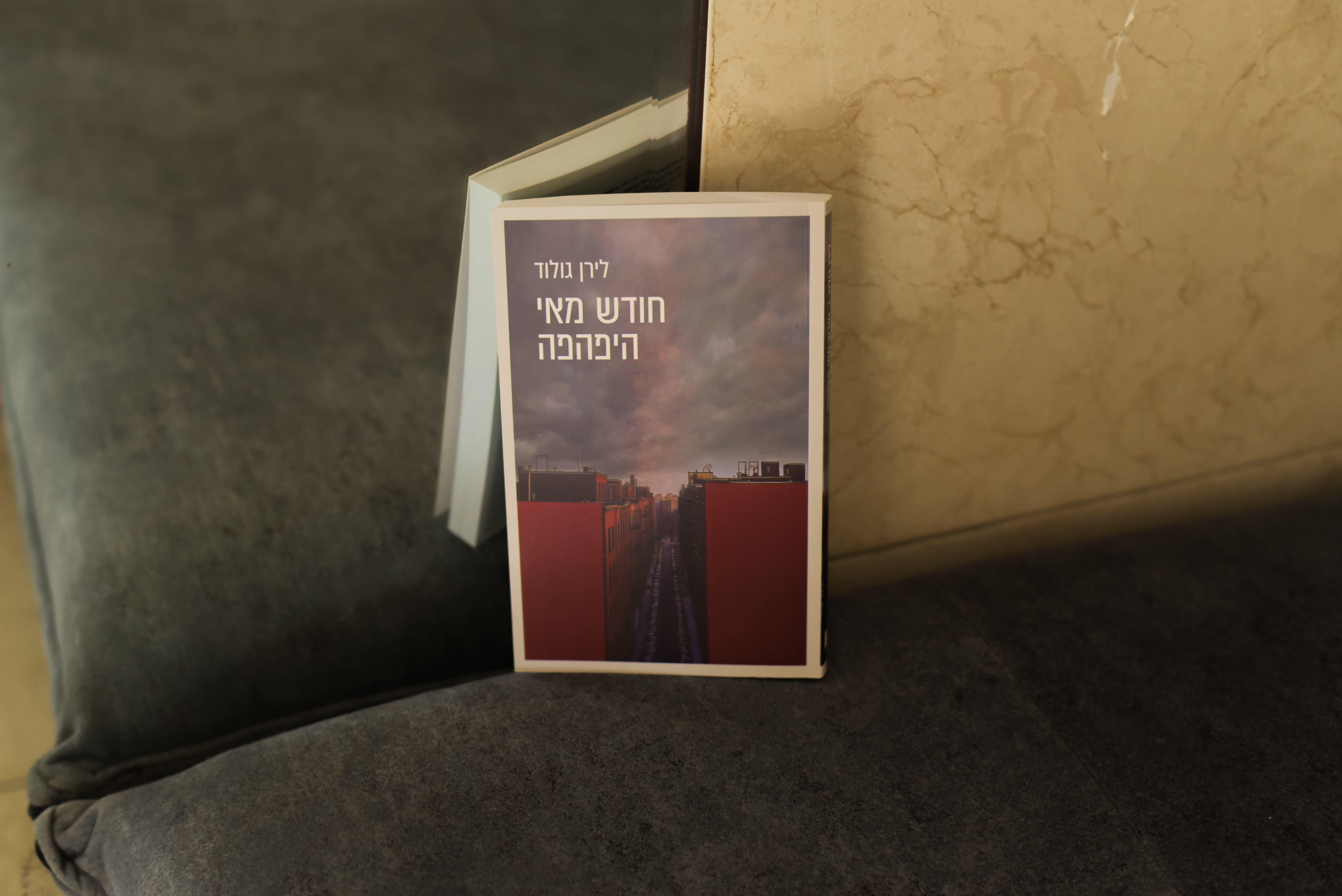 חודש מאי היפהפה/ לירן גולוד
