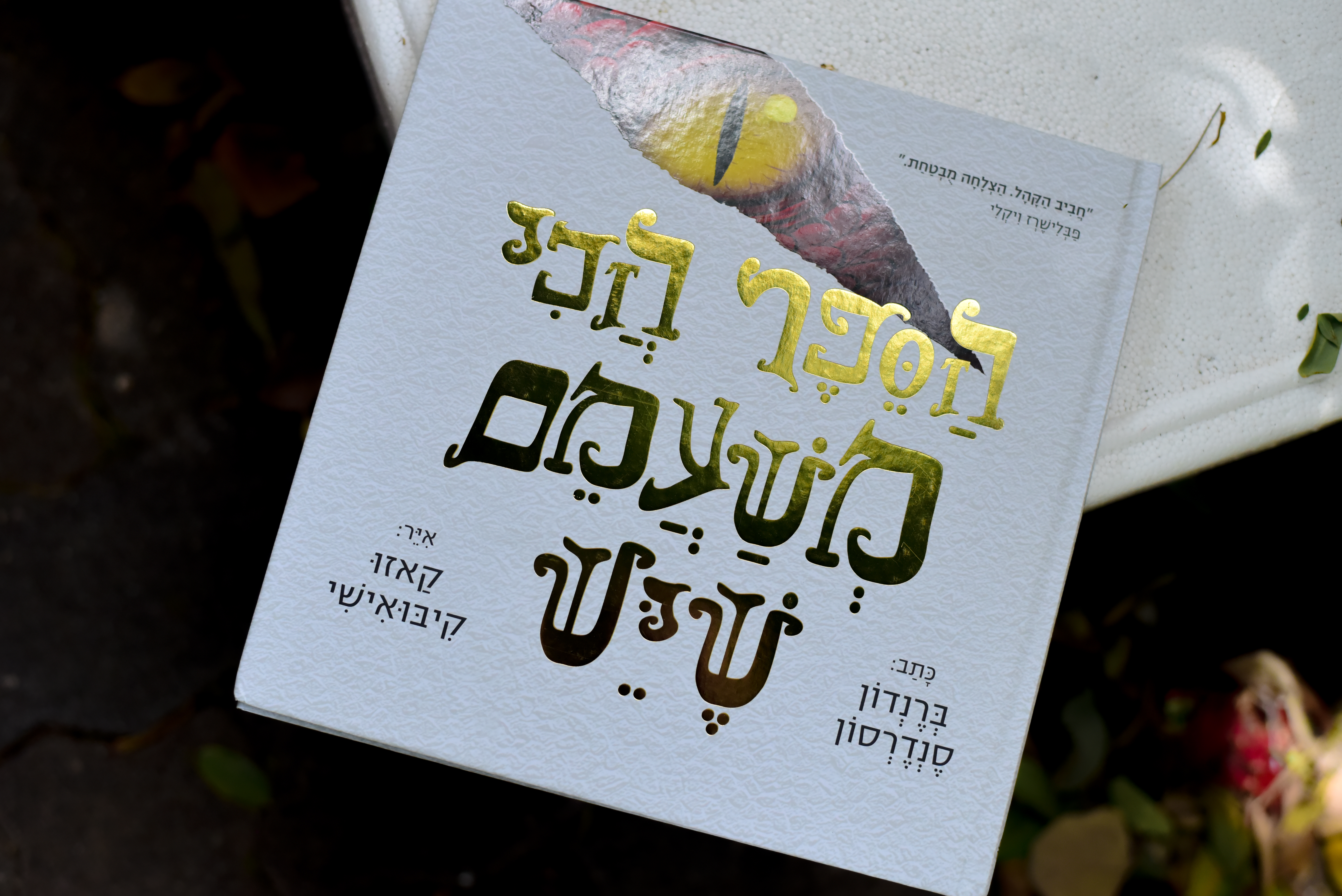 הספר הכי משעמם שיש/ ברנדון סנדרסון, איורים: קאזו קיבואישי