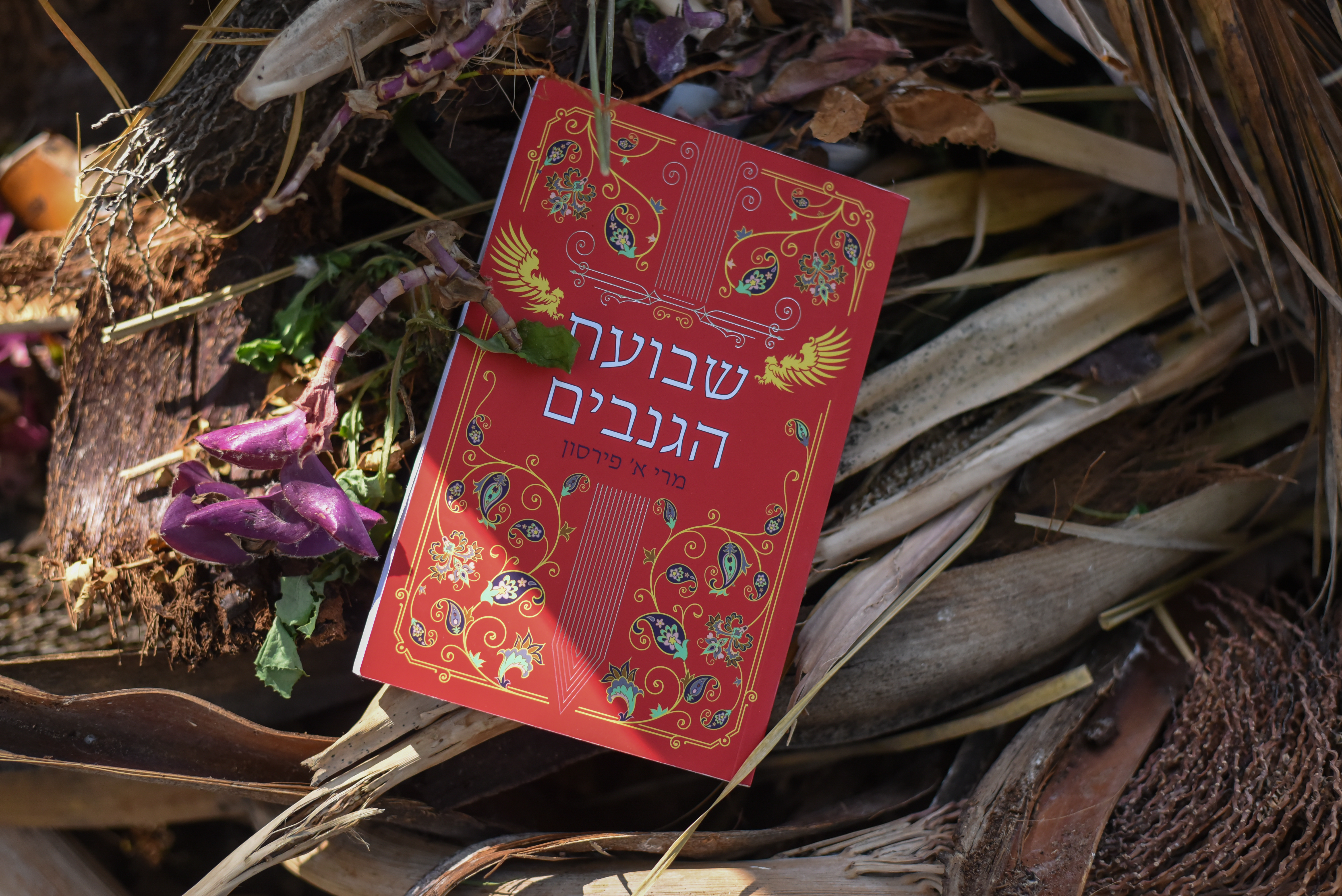 שבועת הגנבים/ מרי א. פירסון (ריקוד הגנבים #2)